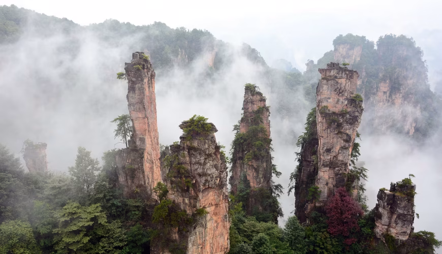 Best Places to Visit in China in Spring 2026: Ultimate Guide to Blooming Destinations and Scenic Wonders